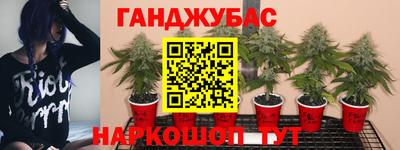 амфетамин Тара